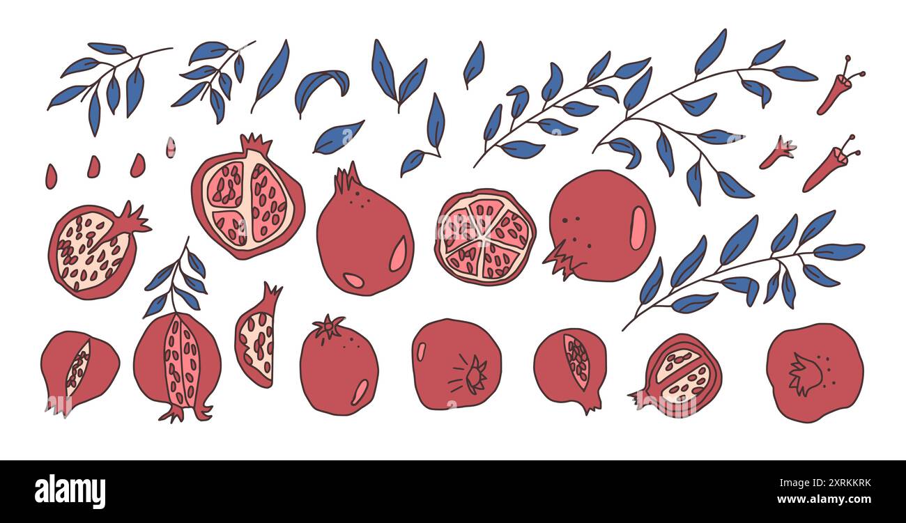 Set of pomegranates. Vector hand drawn doodle fruits and leaves ...