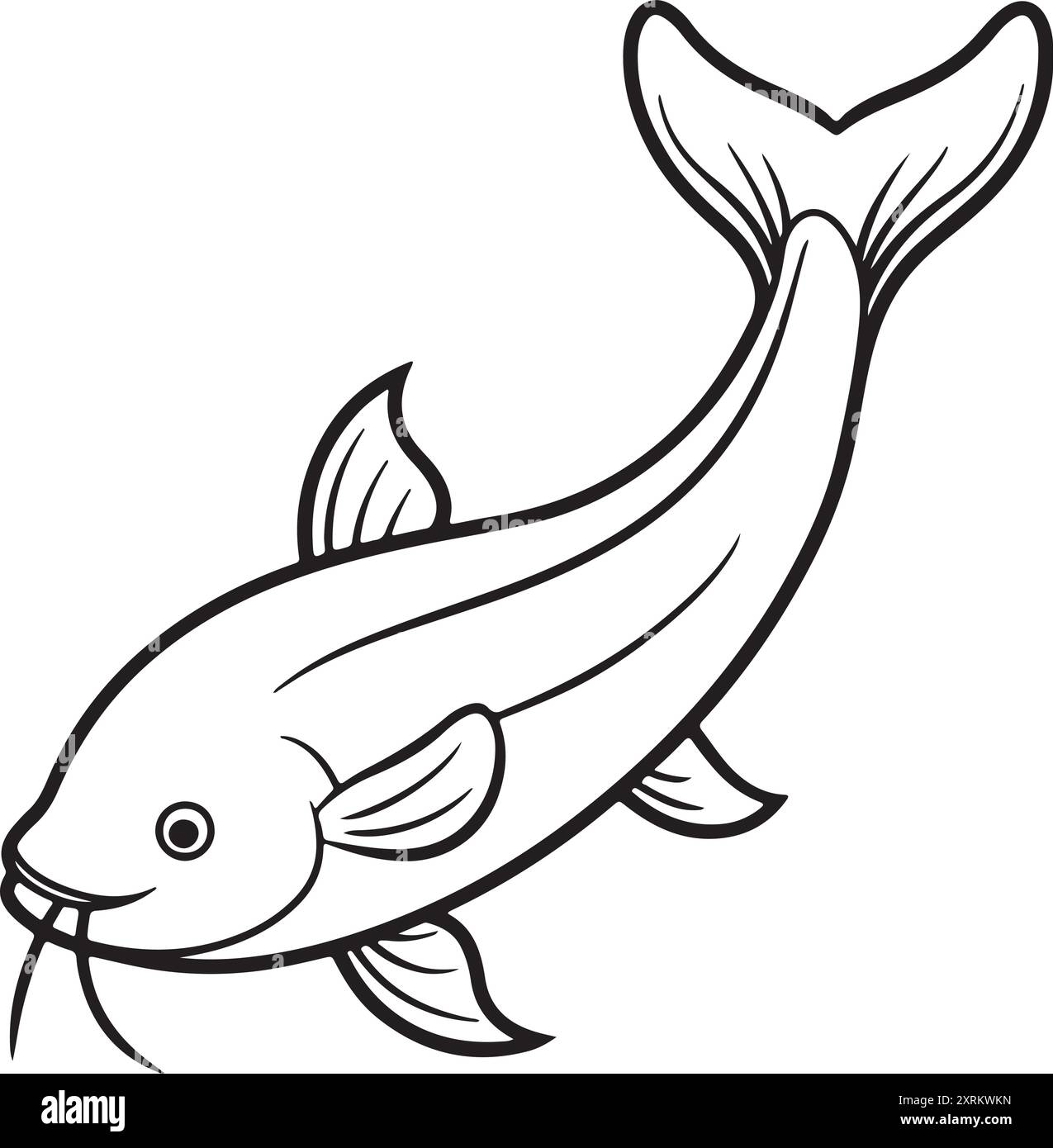 How To Draw A Catfish