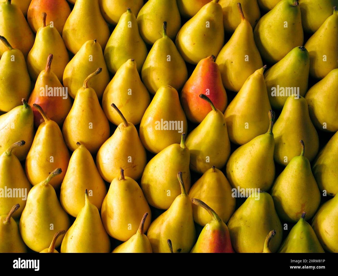 Fresh picked ripe pears full frame close up as background Stock Photo ...