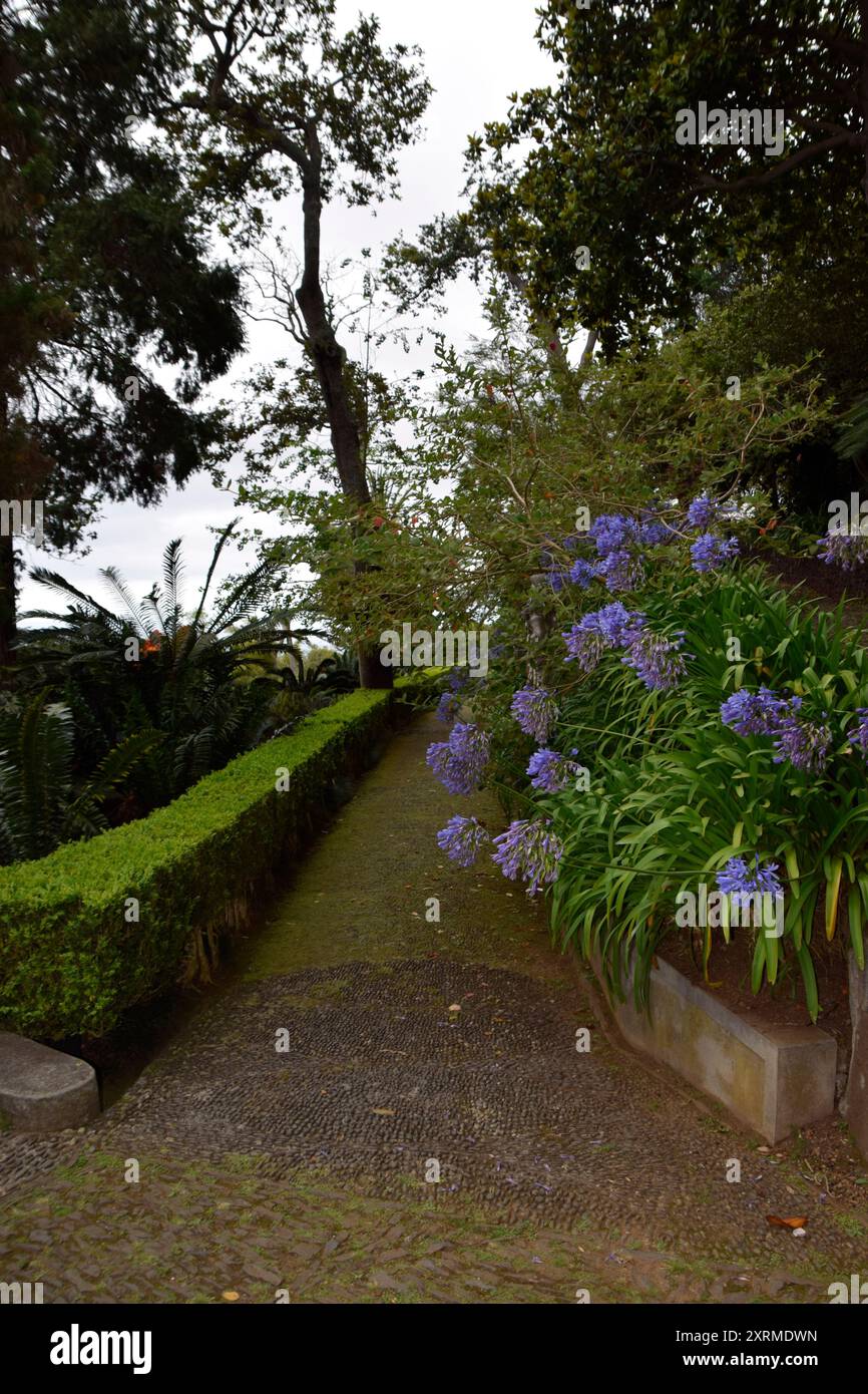 Exotic tropical park path hi-res stock photography and images - Alamy