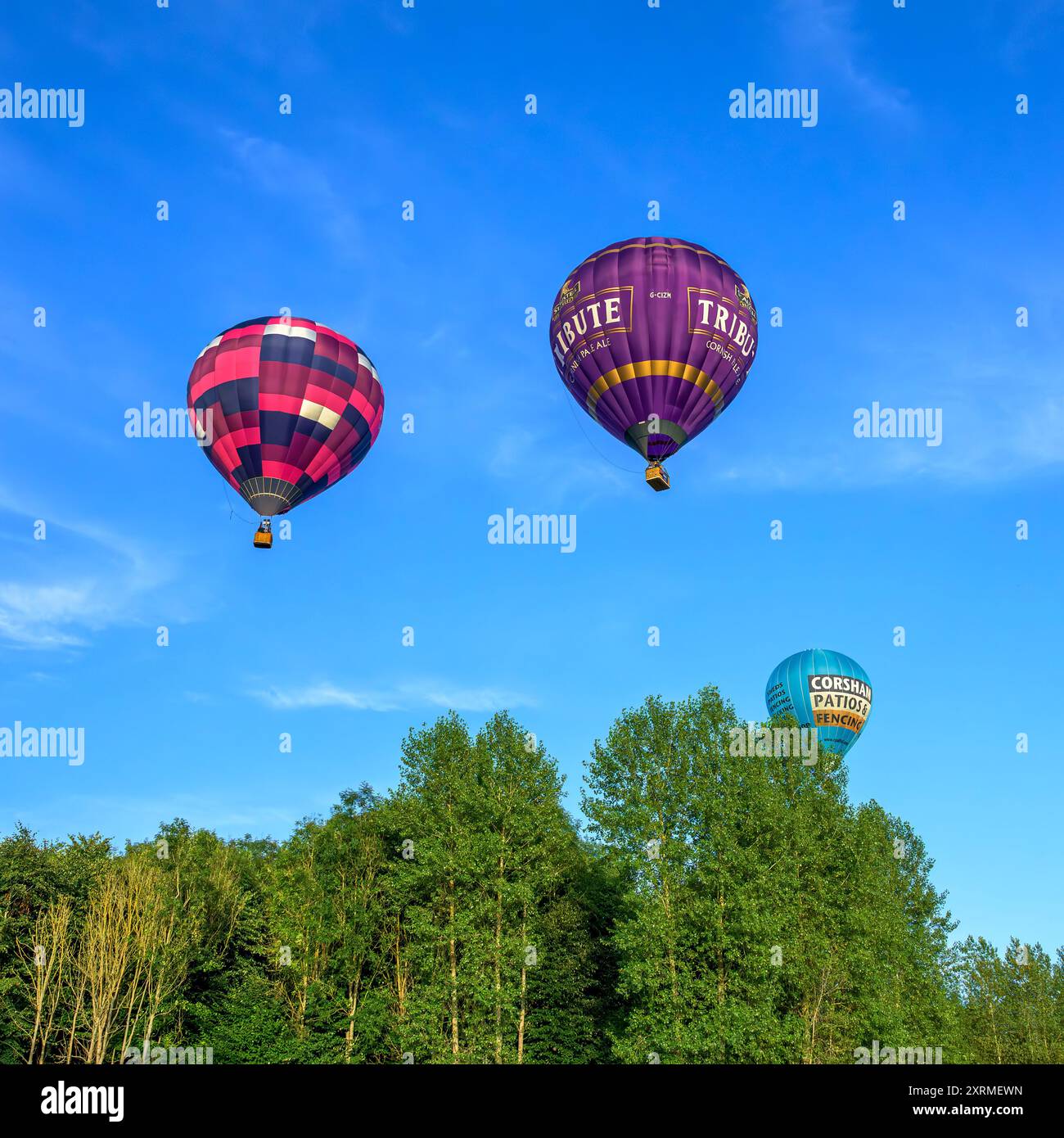 Colourful sunlit balloons in the golden hour, from the 2024 Bristol
