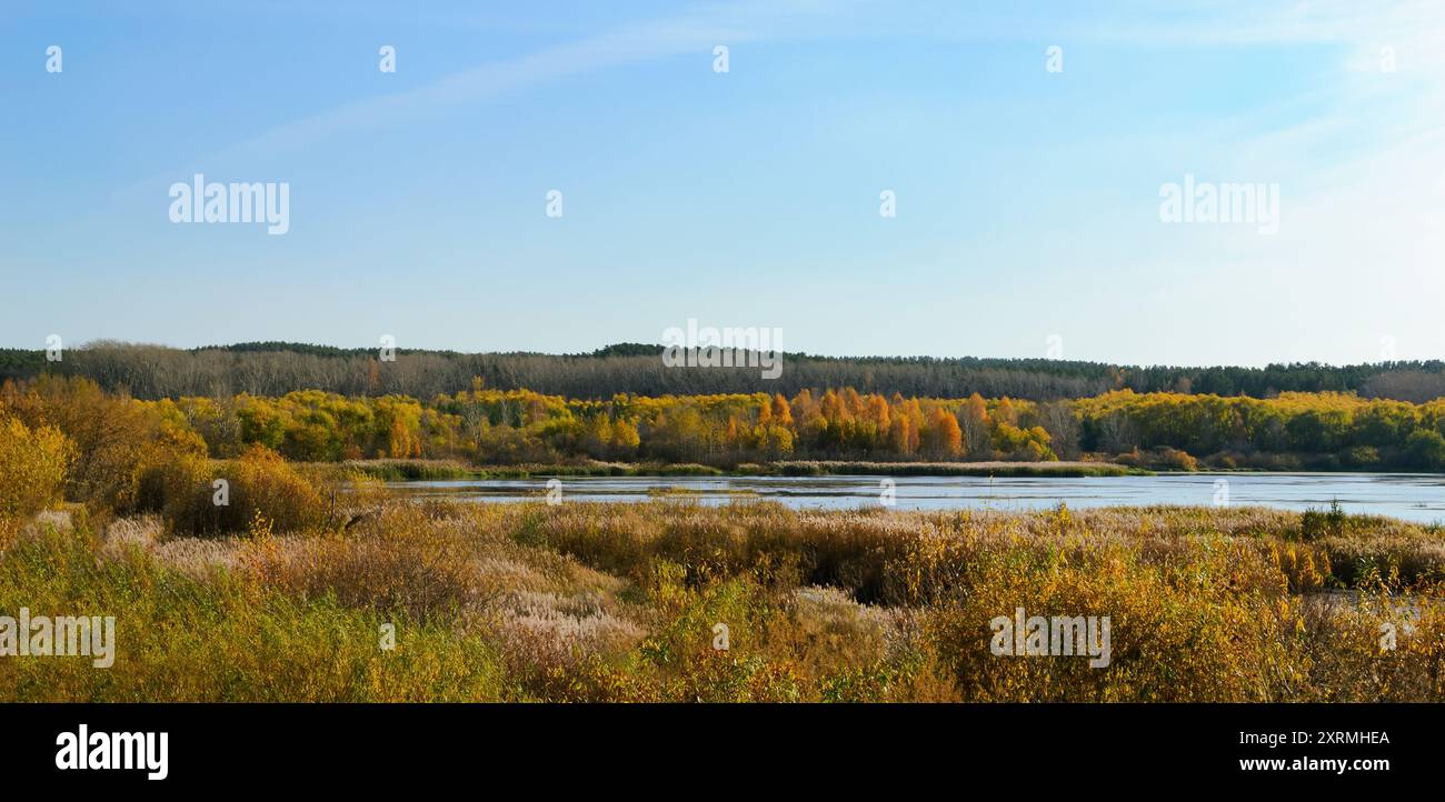 Distant Reeds Reeds and adventure hi-res stock photography and images - Alamy