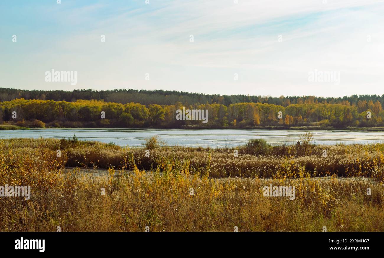 Distant Reeds Reeds and adventure hi-res stock photography and images - Alamy