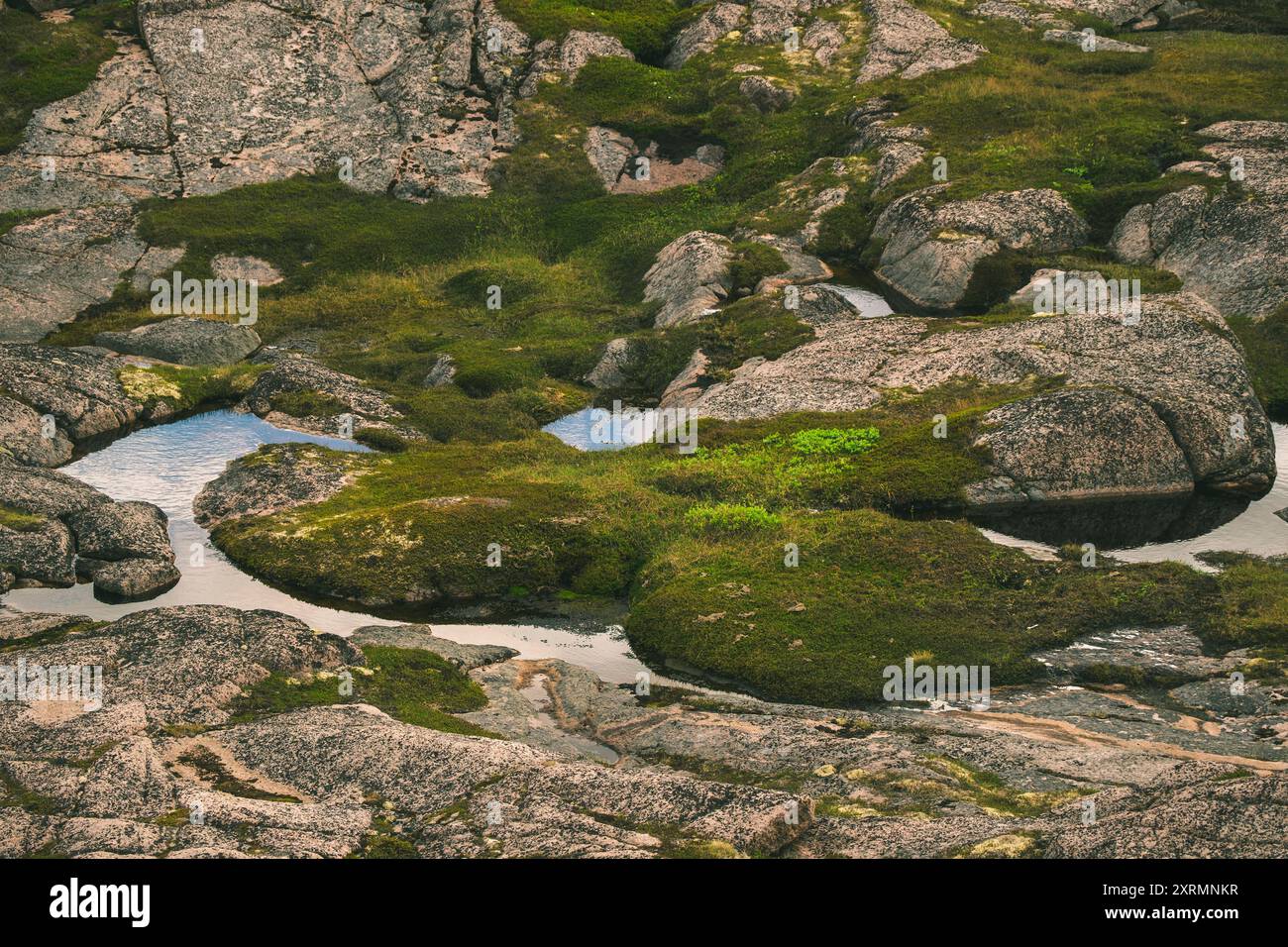 Serene mountain stream boulders hi-res stock photography and images - Alamy