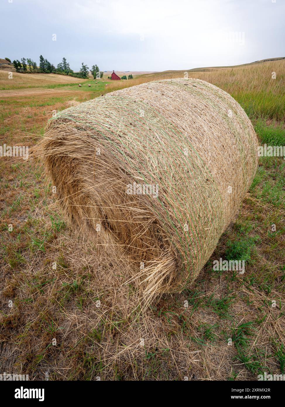 Harvest season with hay roll and red barn Stock Photo - Alamy