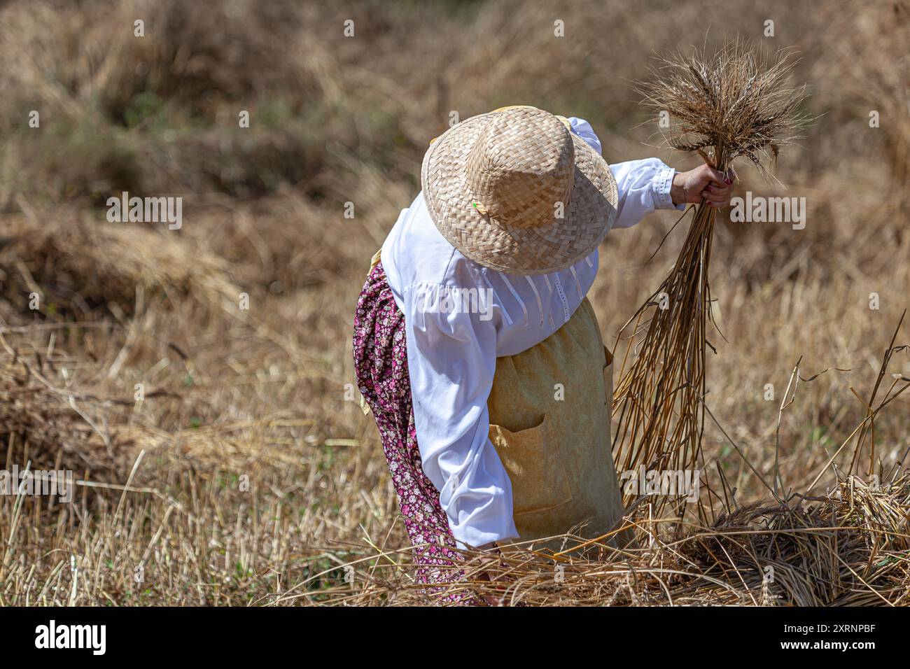 Small wheat island hi-res stock photography and images - Alamy