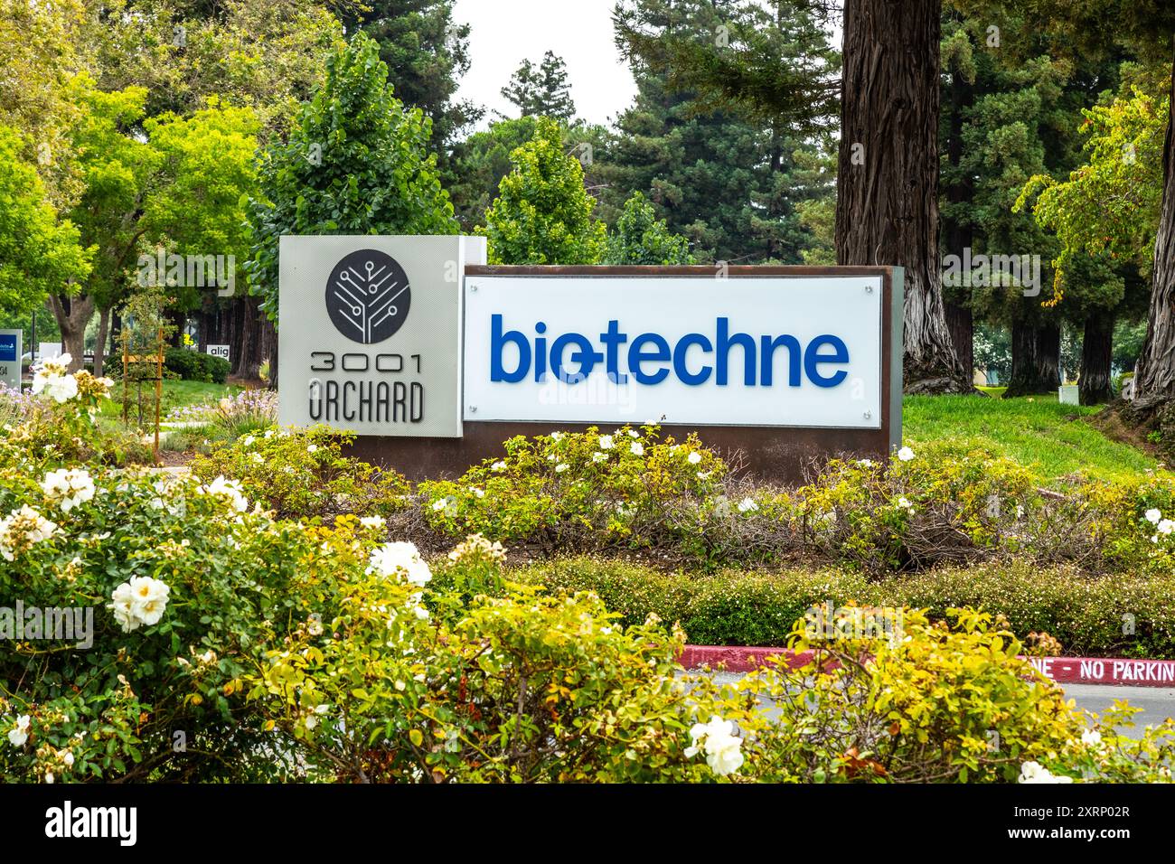 Techne hi-res stock photography and images - Alamy
