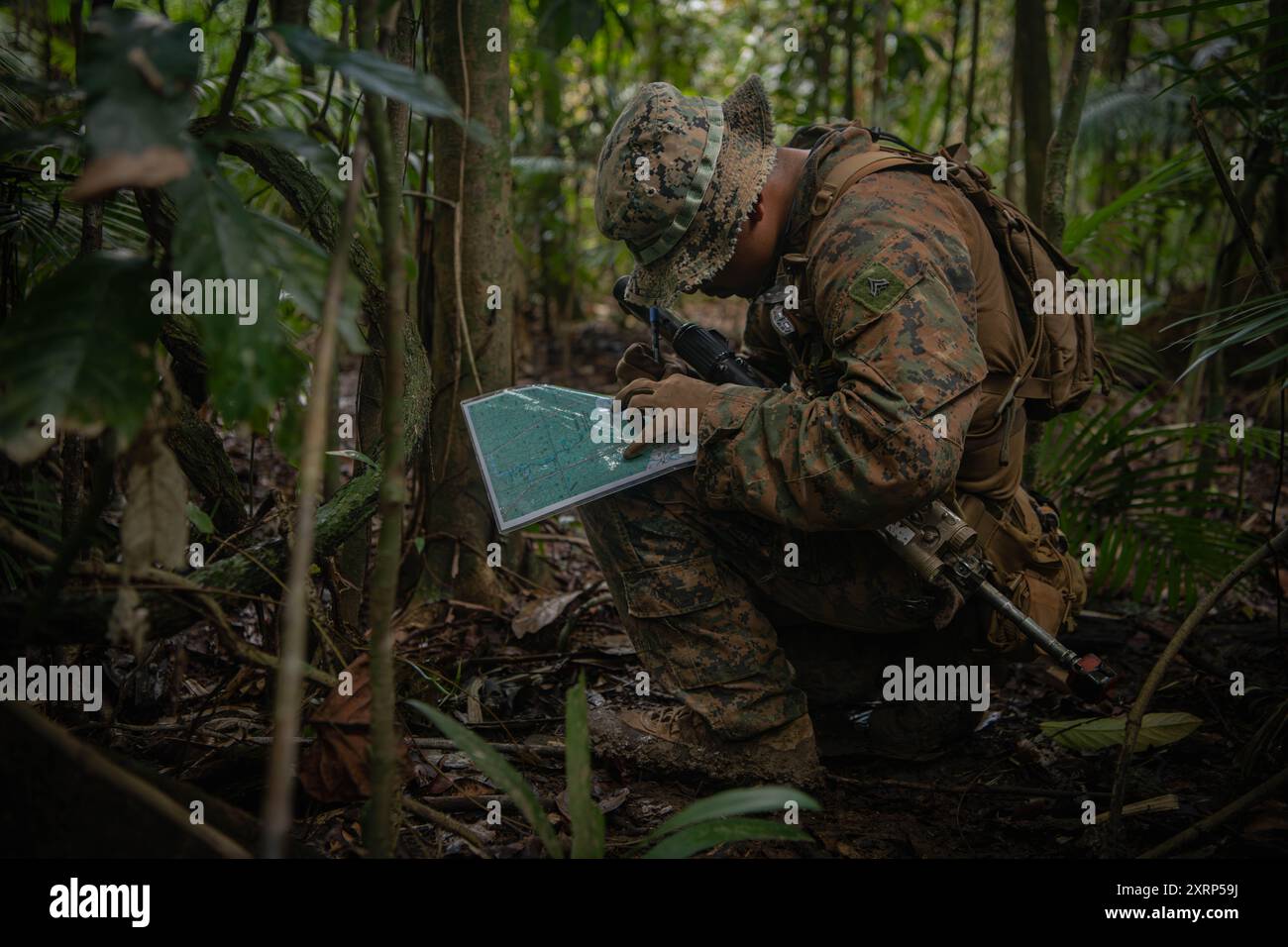 U.S. Marine Corps Cpl. Rogelio Herrera, a team leader with Golf Company, 2nd Battalion, 5th Marine Regiment (Reinforced), Marine Rotational Force – Darwin 24.3, plots grid points during a land navigation event at Cowley Beach Training Area, QLD, Australia, Aug. 7, 2024. The Marines of Golf Co. participate in Tully Combat Training Centre’s Regional Warfighter Exercise in order to increase lethality in a jungle environment, further develop interoperability with the Australian Defence Force, and increase readiness for various operations in the Indo-Pacific region. Herrera is a native of Californi Stock Photo