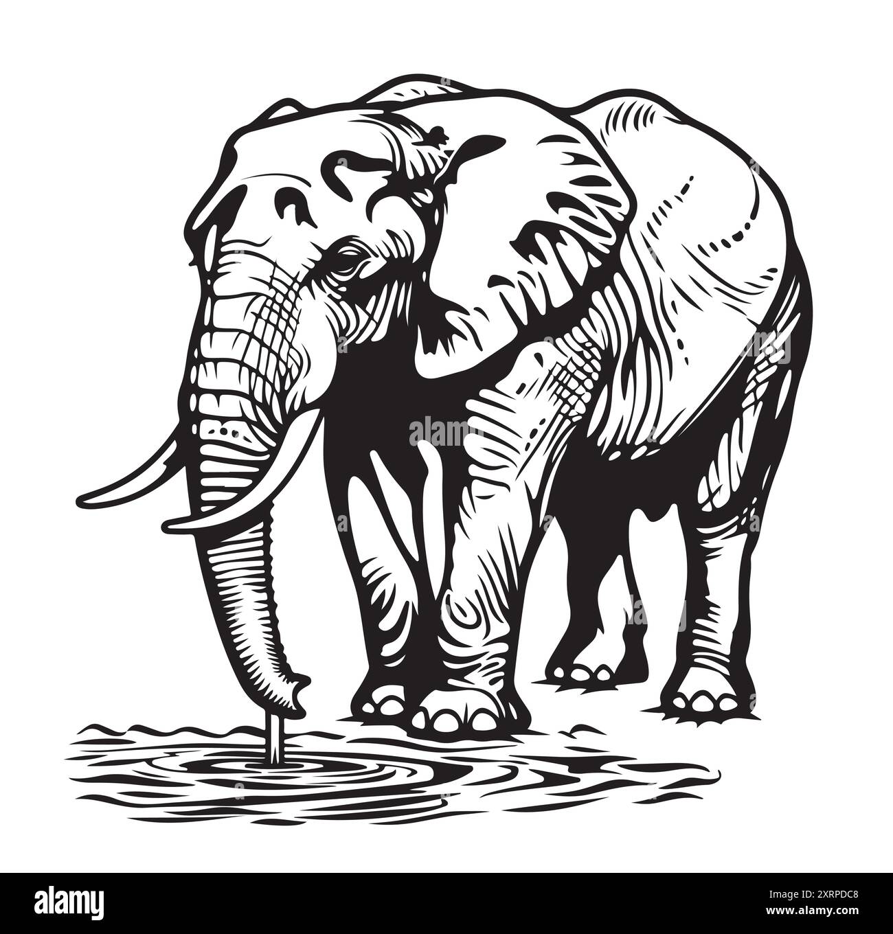 Elephant sketch hand drawn in doodle style Vector illustration Wild ...