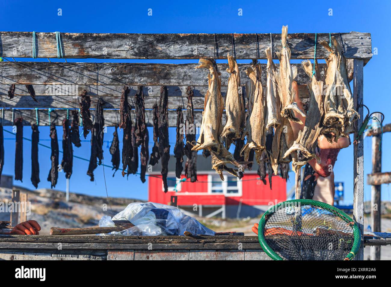 Fish drying on a wooden rack in front of a house, inuit settlement, Uummannaq, Greenland Stock Photo