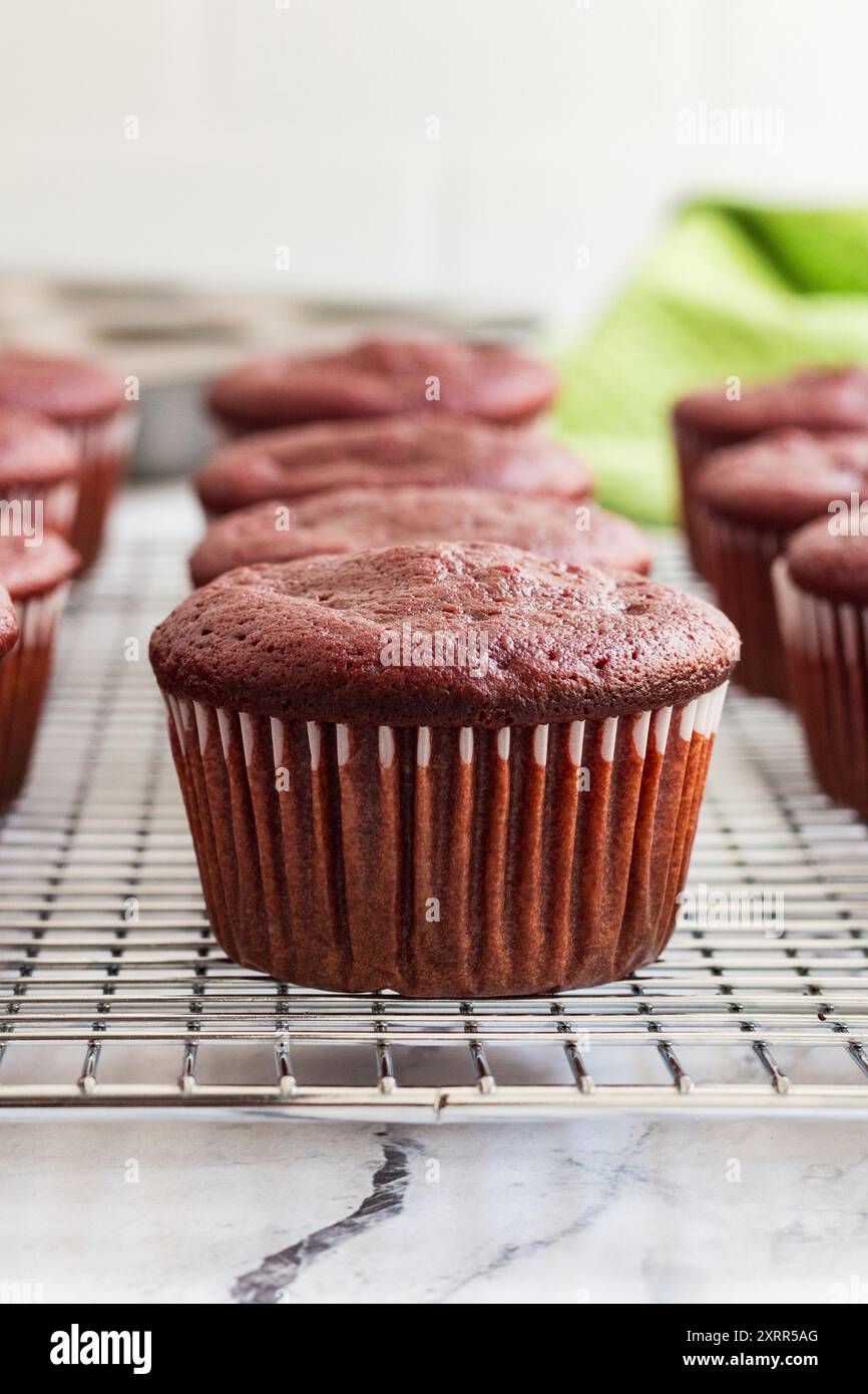 Fresh beetroot chocolate cupcake on a wire rack Stock Photo