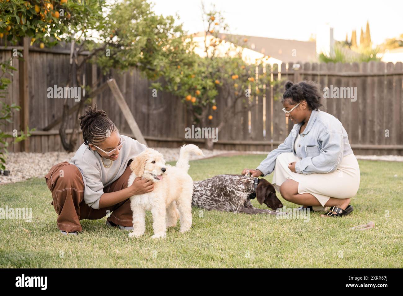 Two old ladies with dog hi-res stock photography and images - Alamy