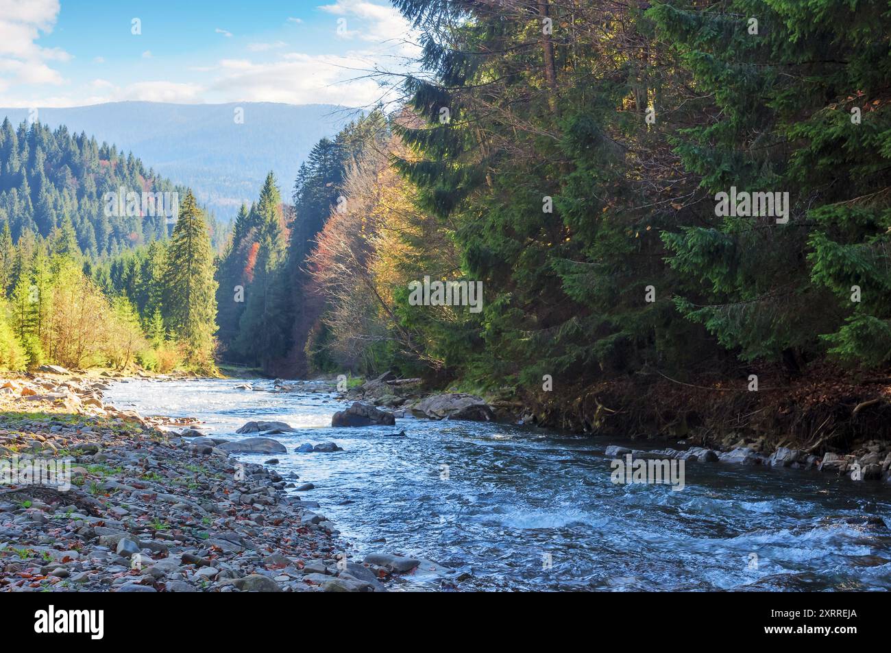 mountainous countryside scenery in the valley with shallow river. carpathinan nature landscape in fall season. synevyr national park. warm sunny weath Stock Photo