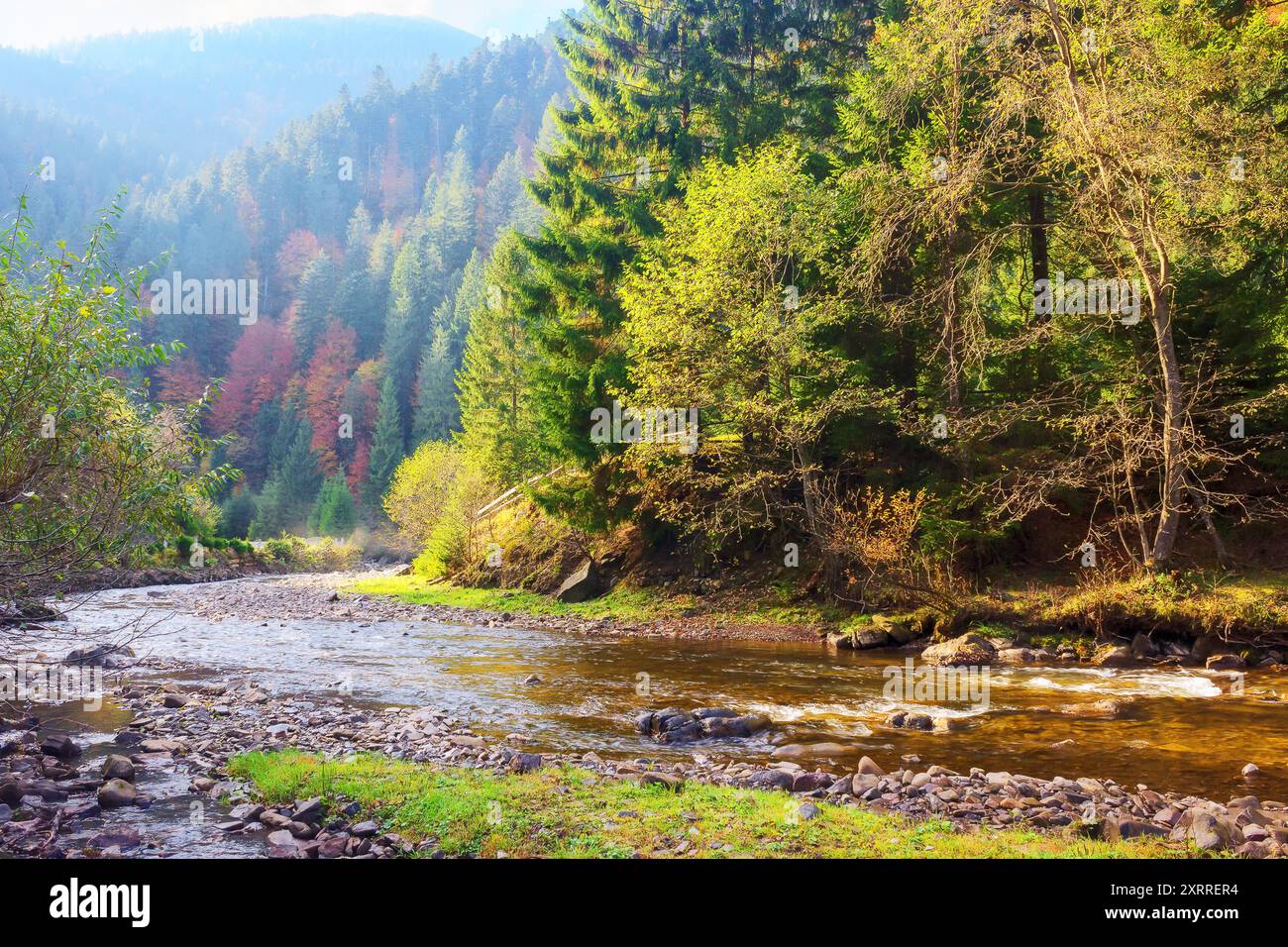 mountainous countryside scenery in the valley with shallow river. carpathinan nature landscape in fall season. tranquil golden afternoon. warm sunny w Stock Photo