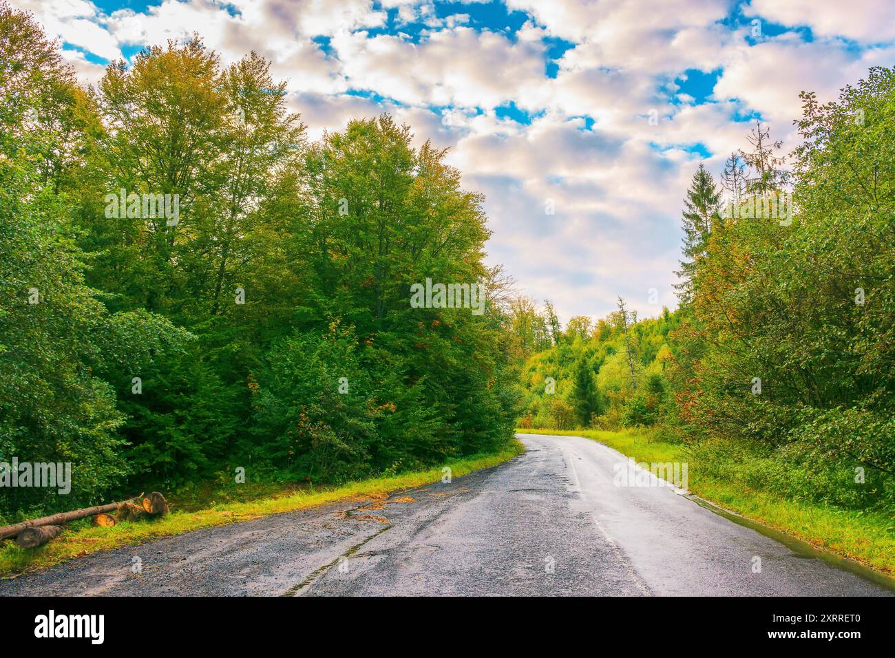 Empty asphalt mountain road through the deciduous forest with cloudy sky in morning light. wet rainy weather Stock Photo