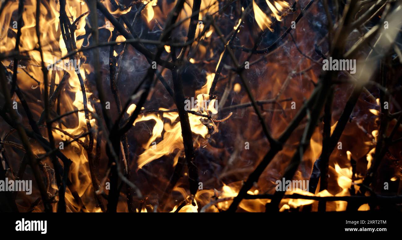 Grass burning in wild bushfire hi-res stock photography and images - Alamy