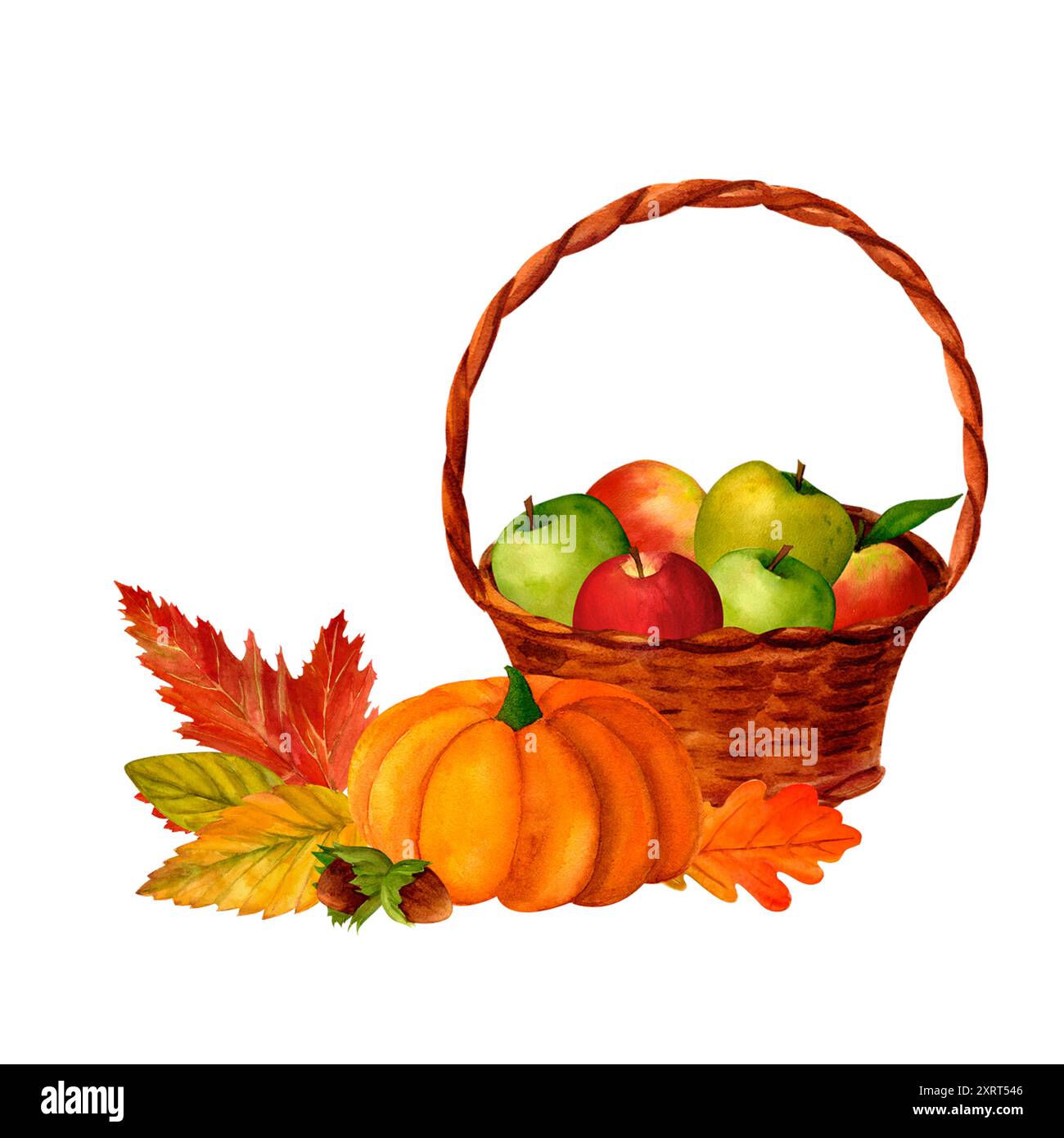 Pumpkin, apple basket and autumn leaves clip art, watercolor realistic ...
