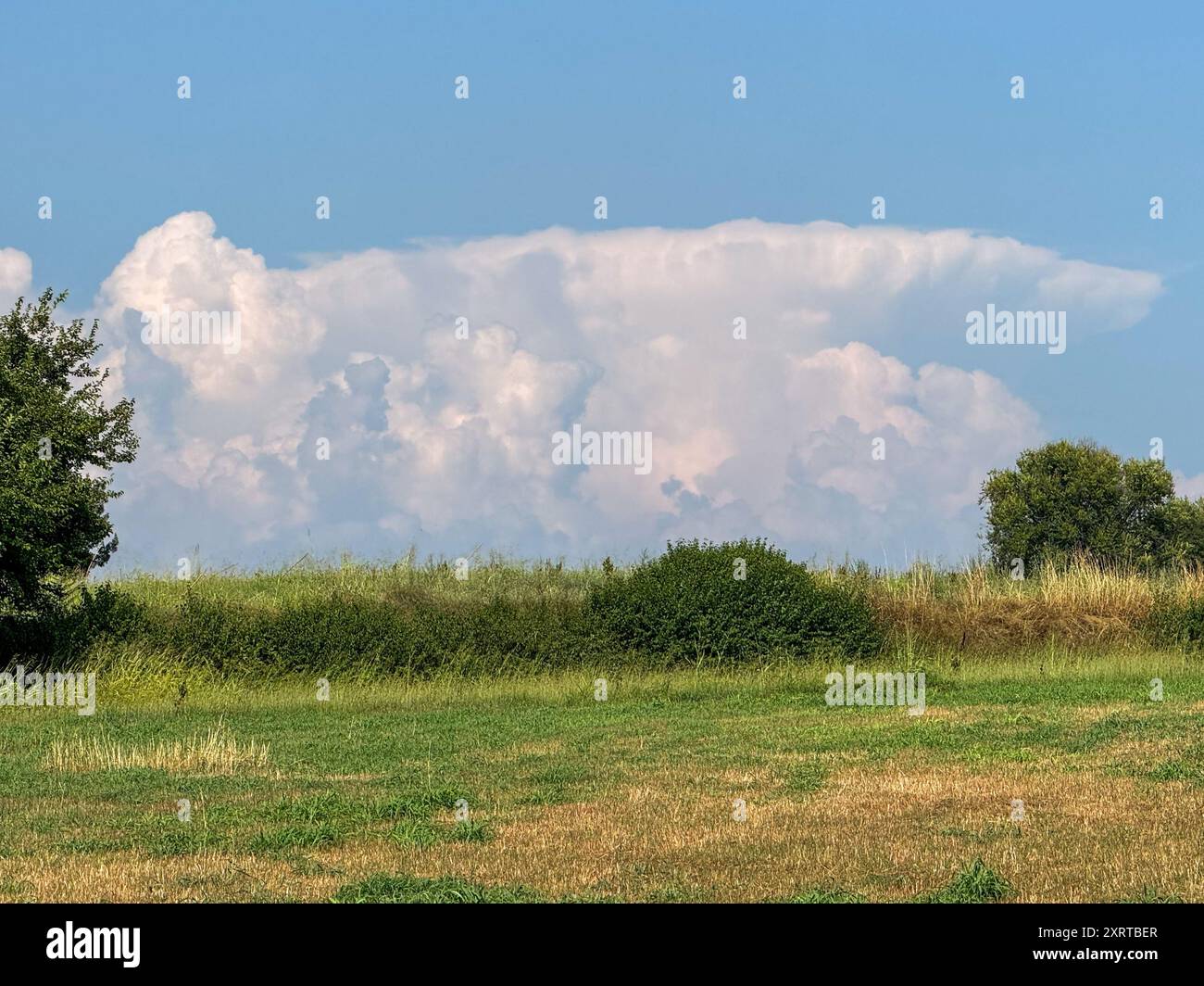 Via del Garda, Salionze. 12th August 2024. Heatwave conditions in Northern Italy at the same time as the current heatwave in the UK. Temperatures in Northern Italy reached 40C by mid afternoon in the village of Salzione near Lake Garda. Cumulonimbus thunderclouds building up in the distance. Credit: james jagger/Alamy Live News Stock Photo