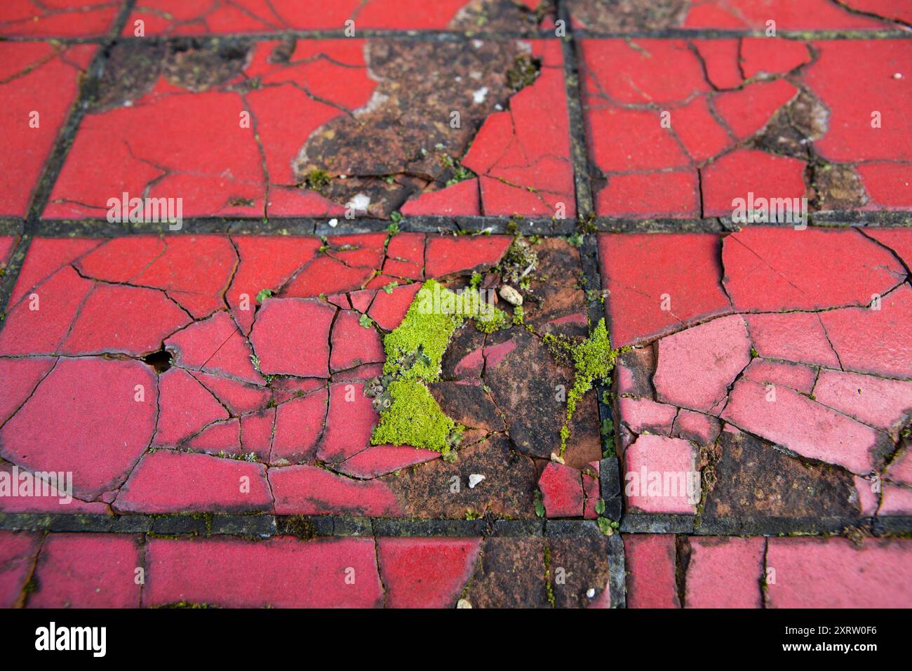 Cracked floor tiles hi-res stock photography and images - Alamy
