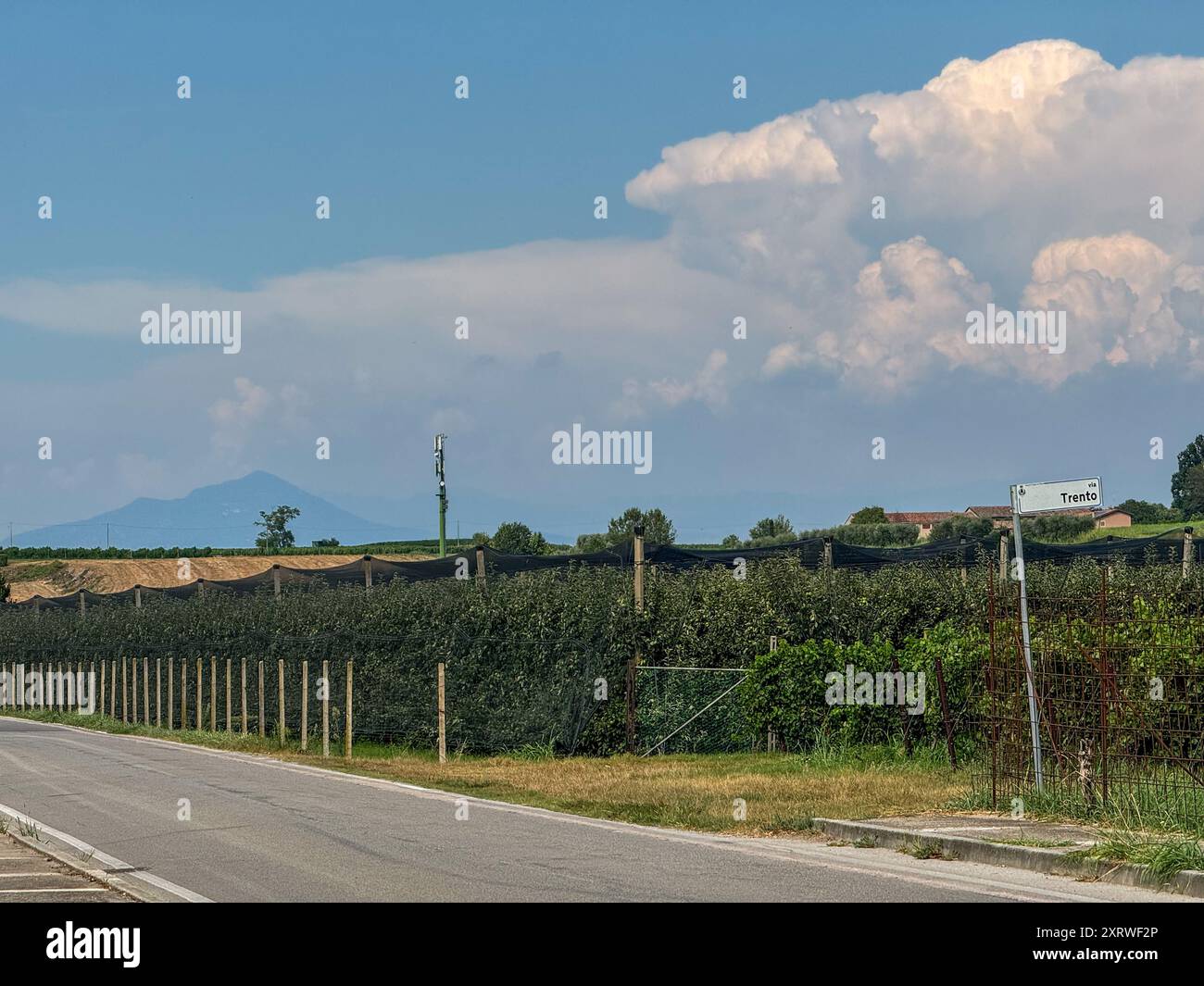 Via del Garda, Salionze. 12th August 2024. Heatwave conditions in Northern Italy at the same time as the current heatwave in the UK. Temperatures in Northern Italy reached 46C by late afternoon in the village of Salzione near Lake Garda. Cumulonimbus thunderclouds building up in the distance. Credit: james jagger/Alamy Live News Stock Photo