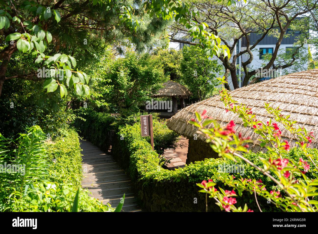 Jeju island, Korea - April 27, 2024 : Seogwipo Lee Jung Seop Street traditional thatched House Stock Photo