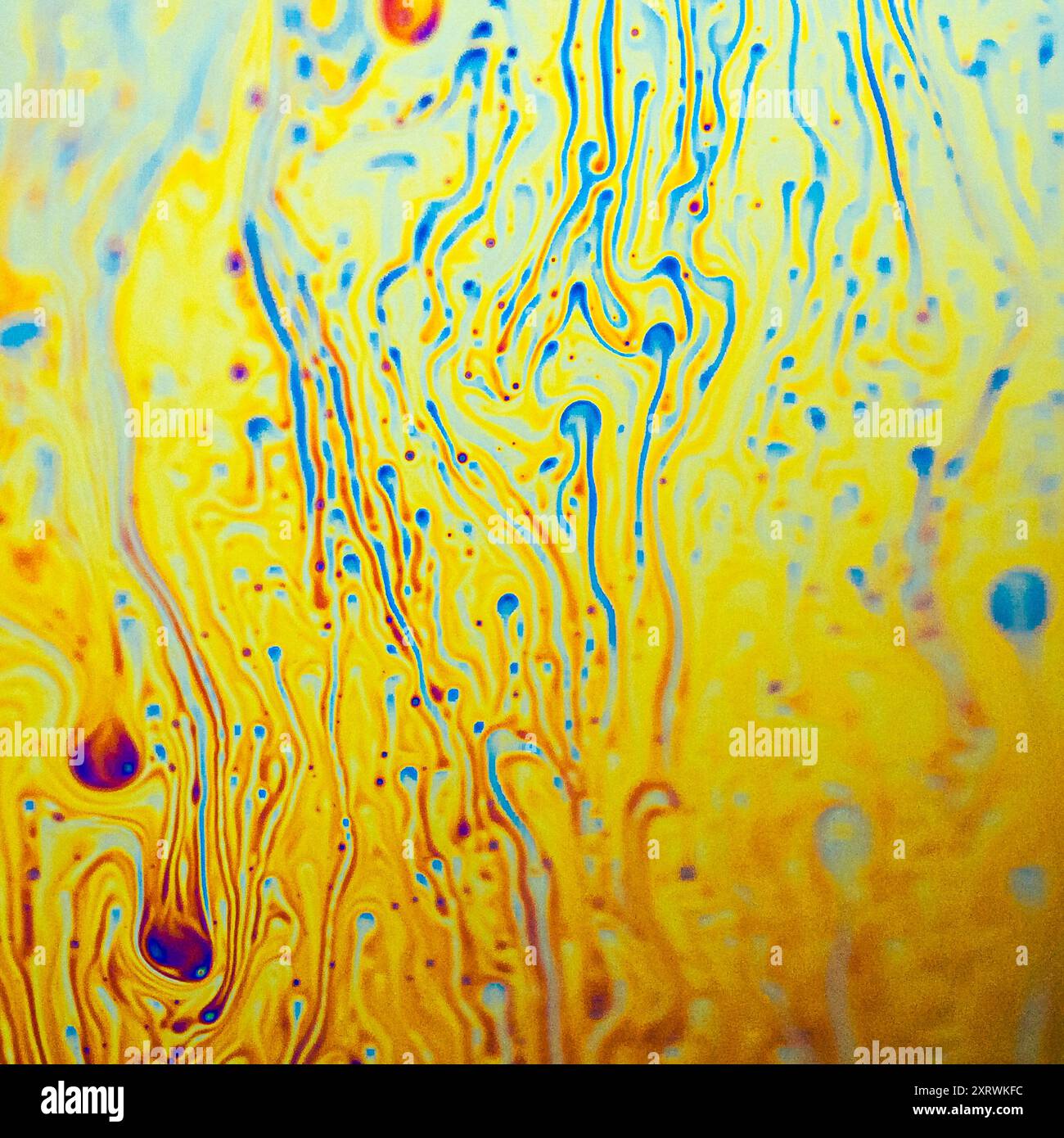 Soap bubbles through a macro lens Stock Photo - Alamy
