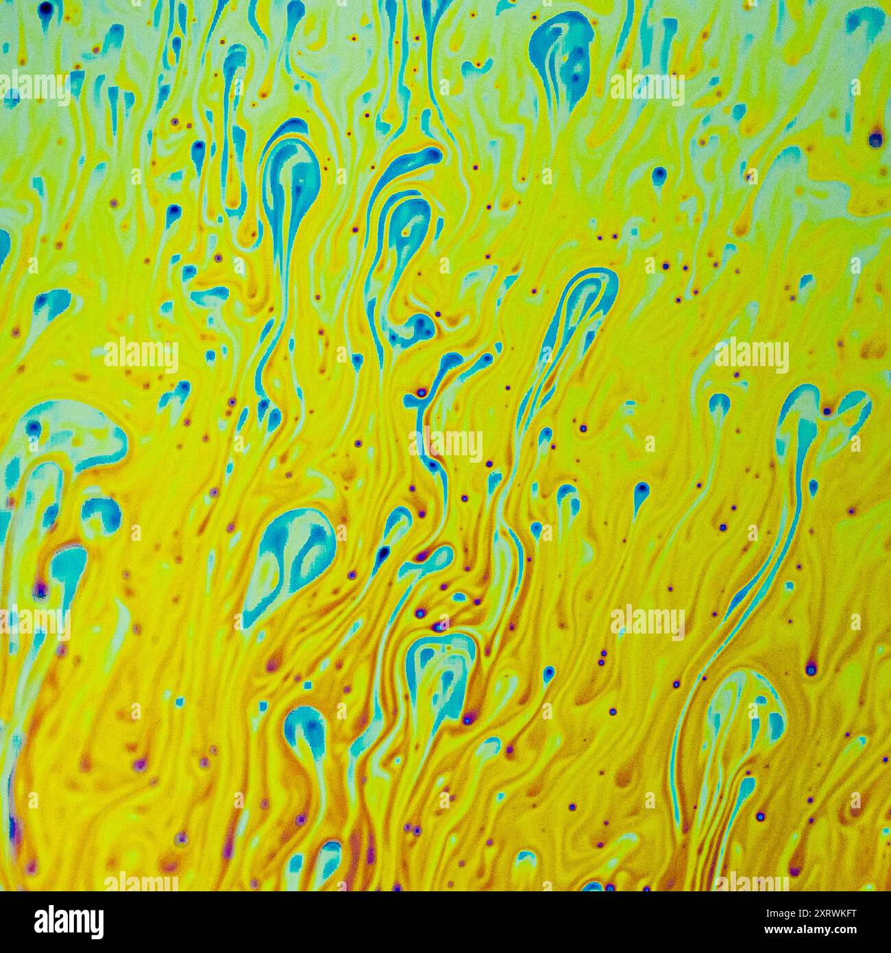 Soap bubbles through a macro lens Stock Photo - Alamy