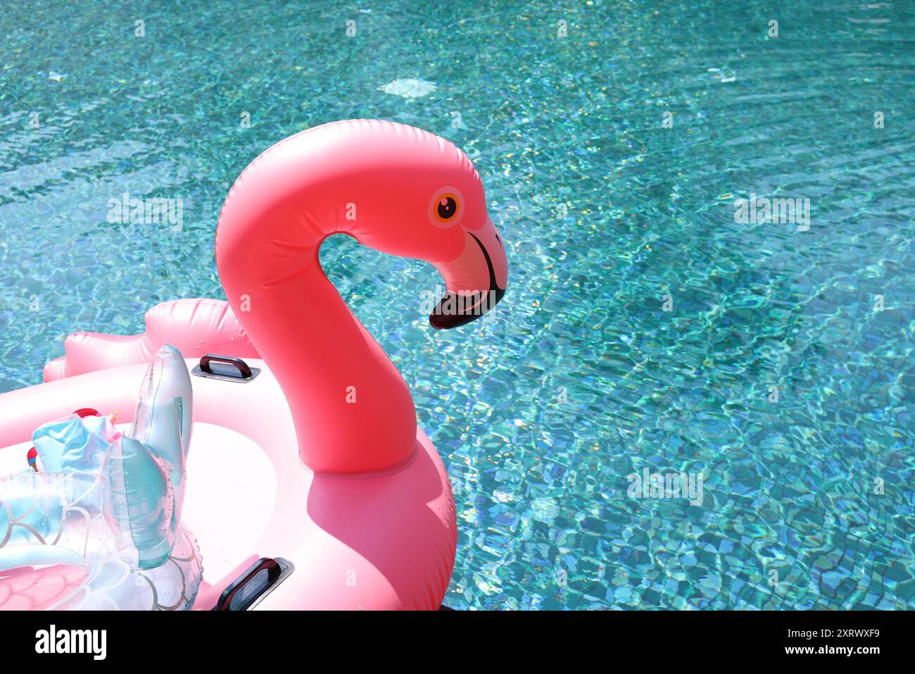 Summer season in pool flamingo hi-res stock photography and images - Alamy