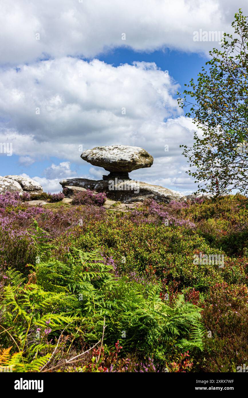 Bringam Rocks Mushroom rock, Brimham Rocks Stock Photo - Alamy