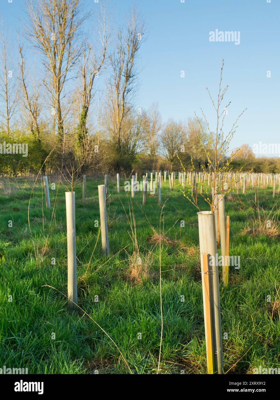 Global warming and consequent climate change is increasing the ...