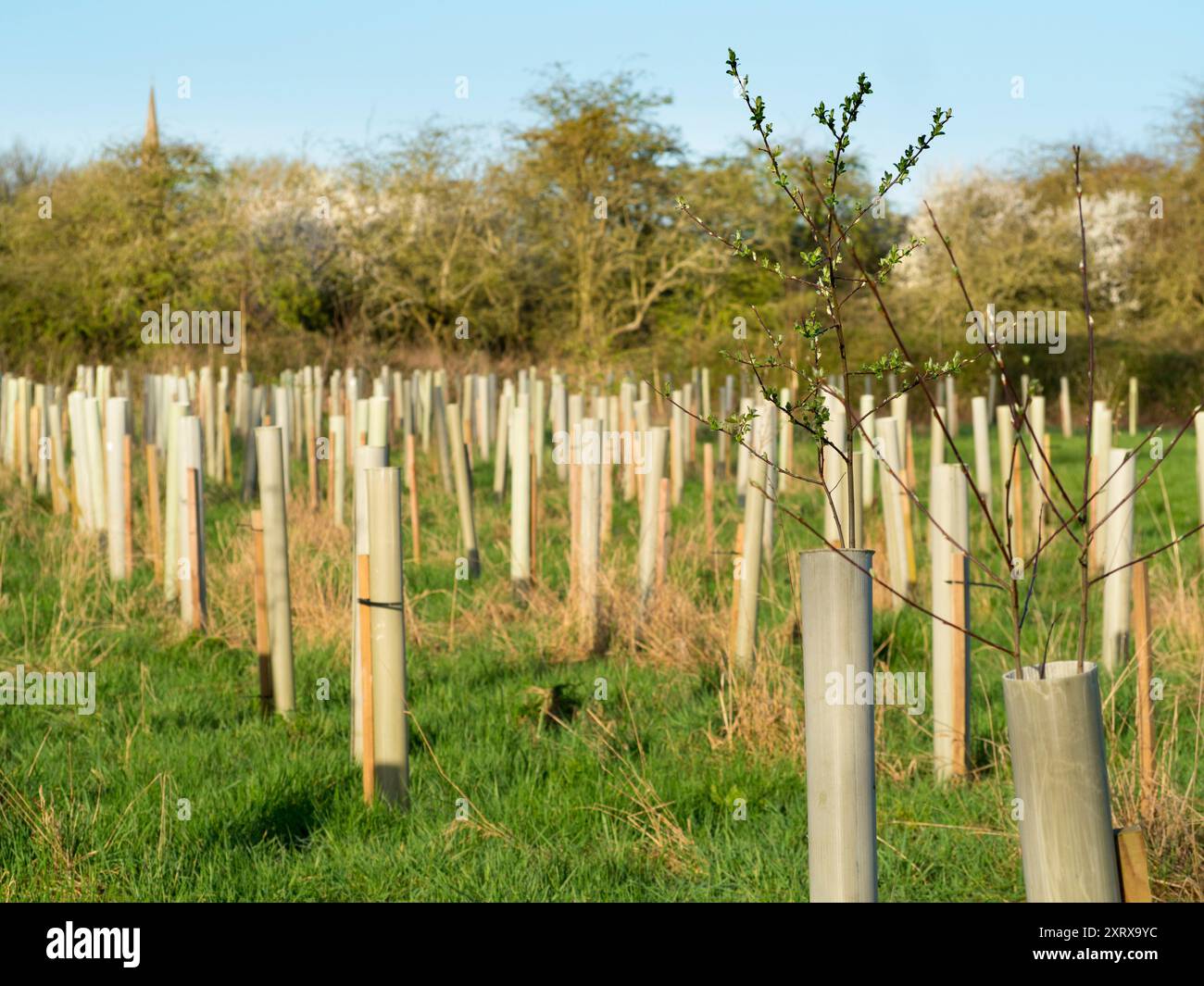 Global warming and consequent climate change is increasing the ...
