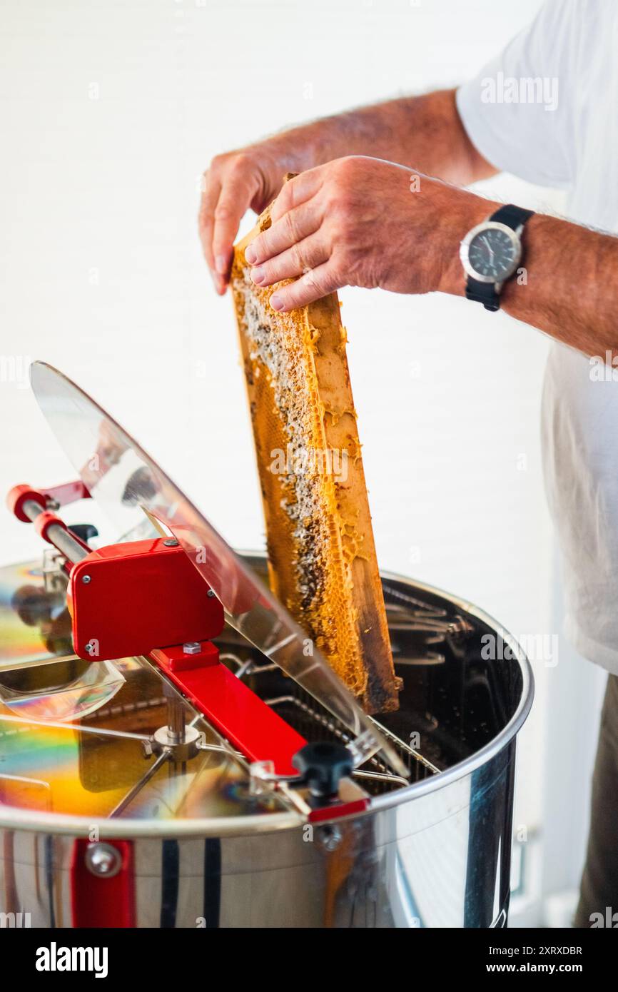 Beekeeper Putting a Beehive Frame with Honeycombs Into the Hony ...