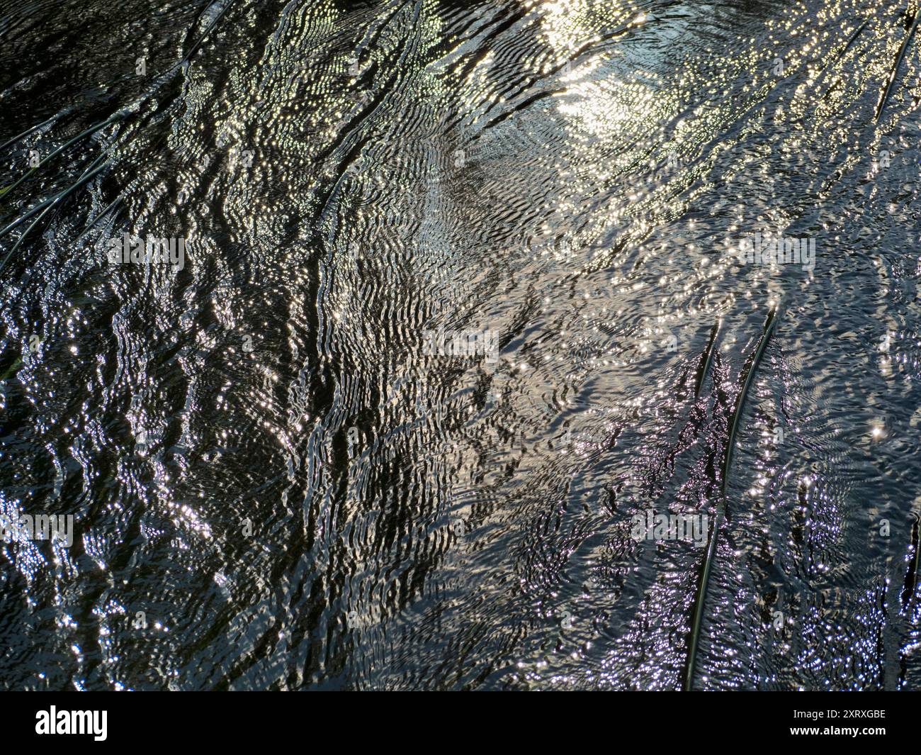River Rushes Uk Fast moving river rushes hi-res stock photography and images - Alamy