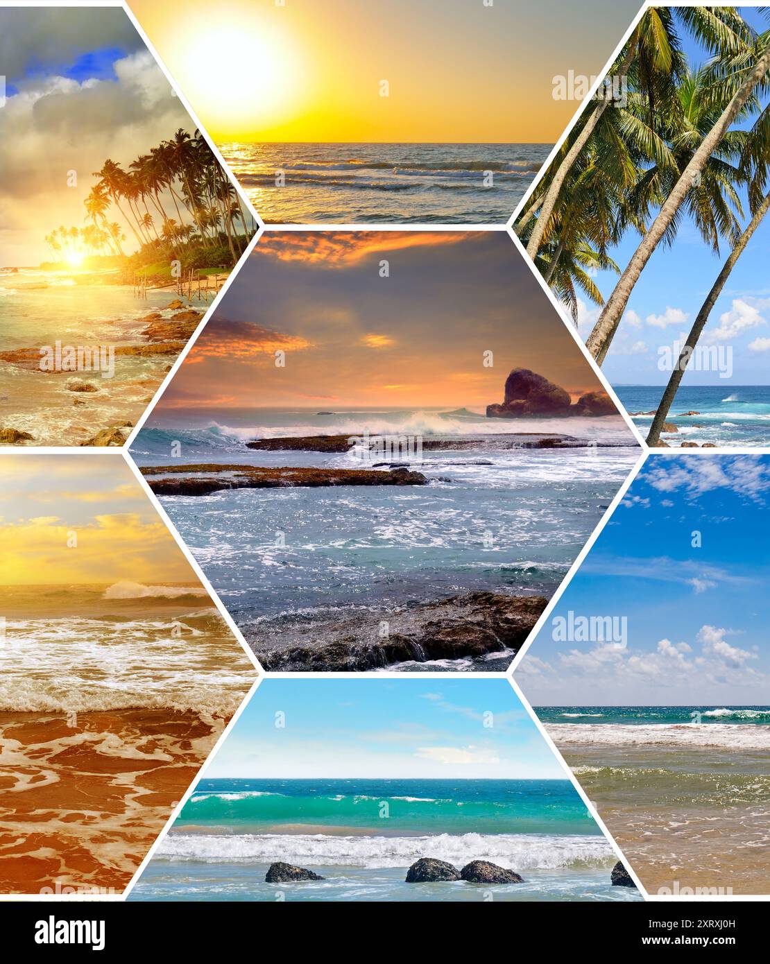 Photo collage tropical beach palm hi-res stock photography and images ...
