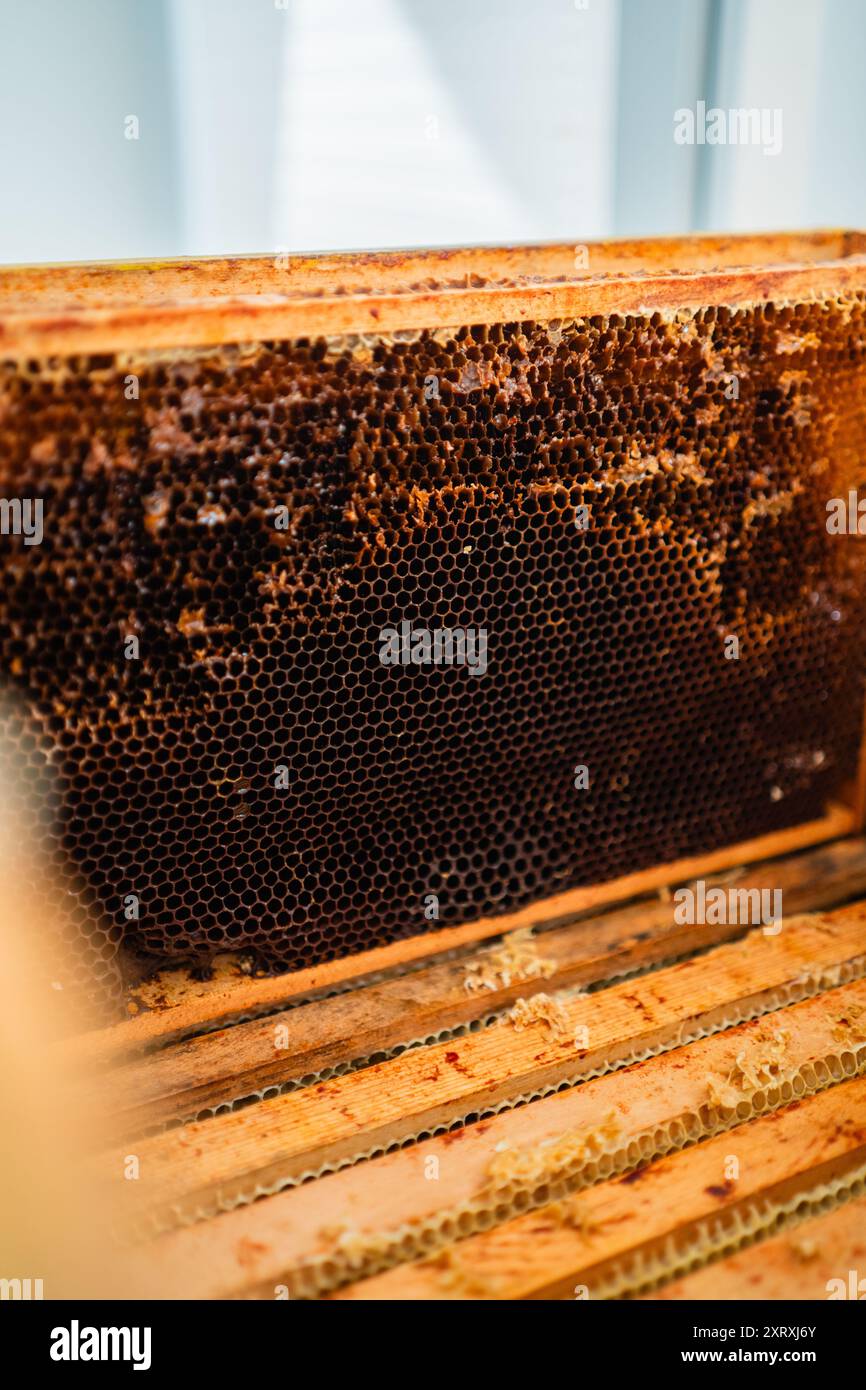 Dark honeycomb hi-res stock photography and images - Alamy