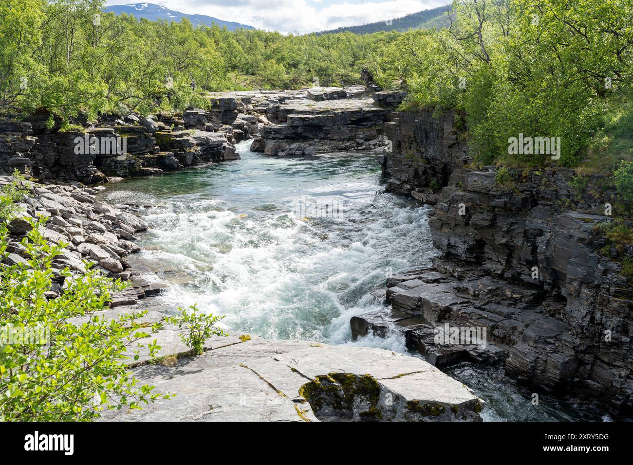 Abisko river canyon in Abisko National Park, Sweden Stock Photo - Alamy