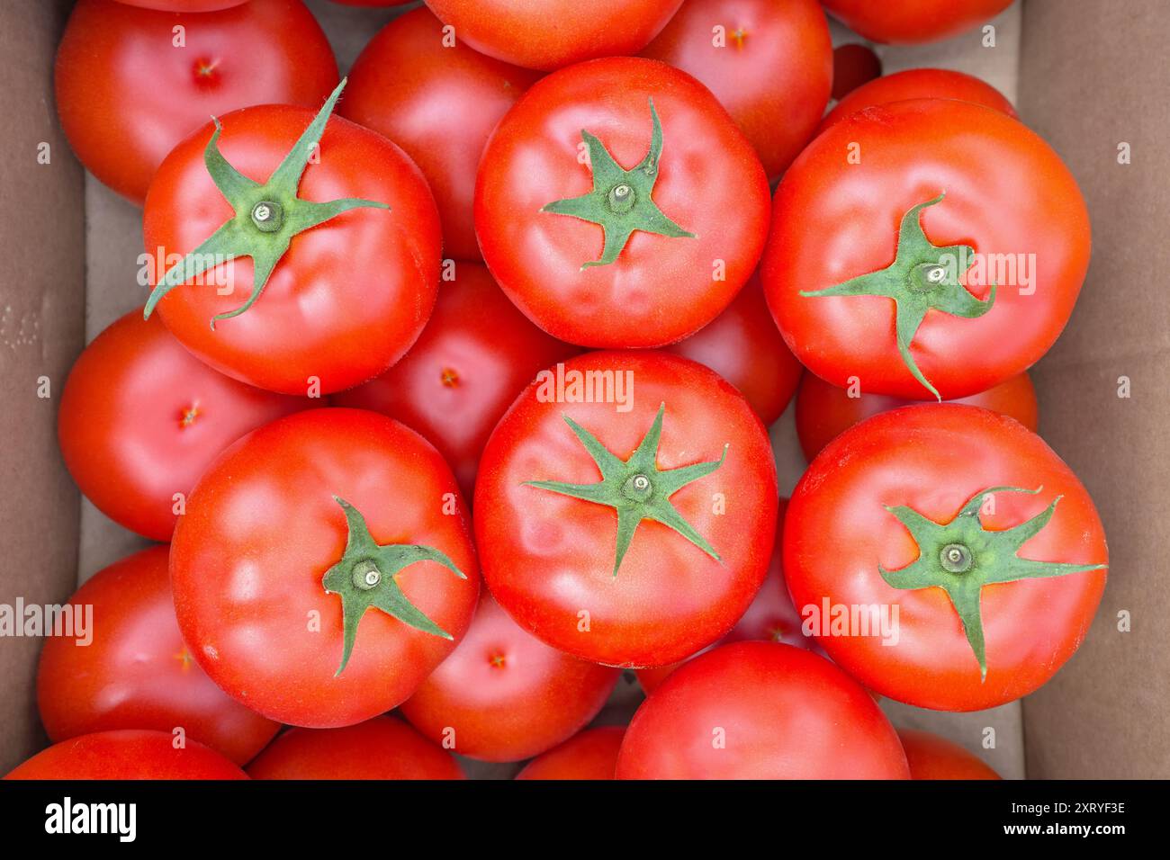 Close up of tomatoes in a box hi-res stock photography and images - Alamy