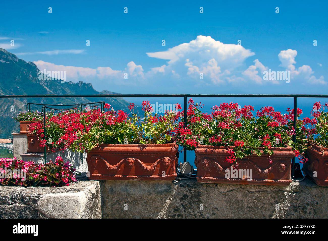 Curated visual reference: Fresh Look at Colorful Flowers Terra Cotta Planters Patio Edge Mountains Blue Sky