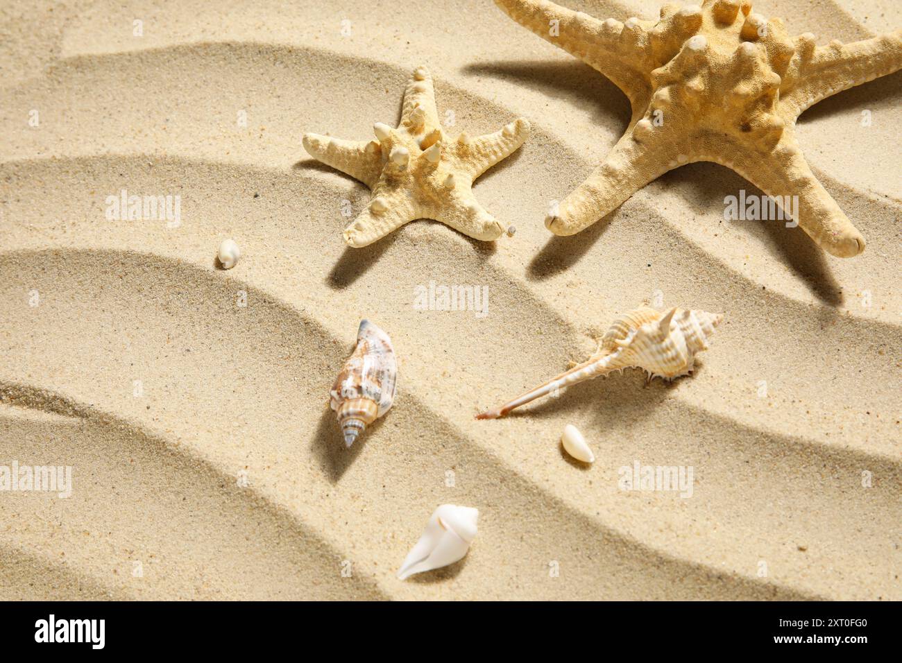 Starfishes and seashells on sand Stock Photo
