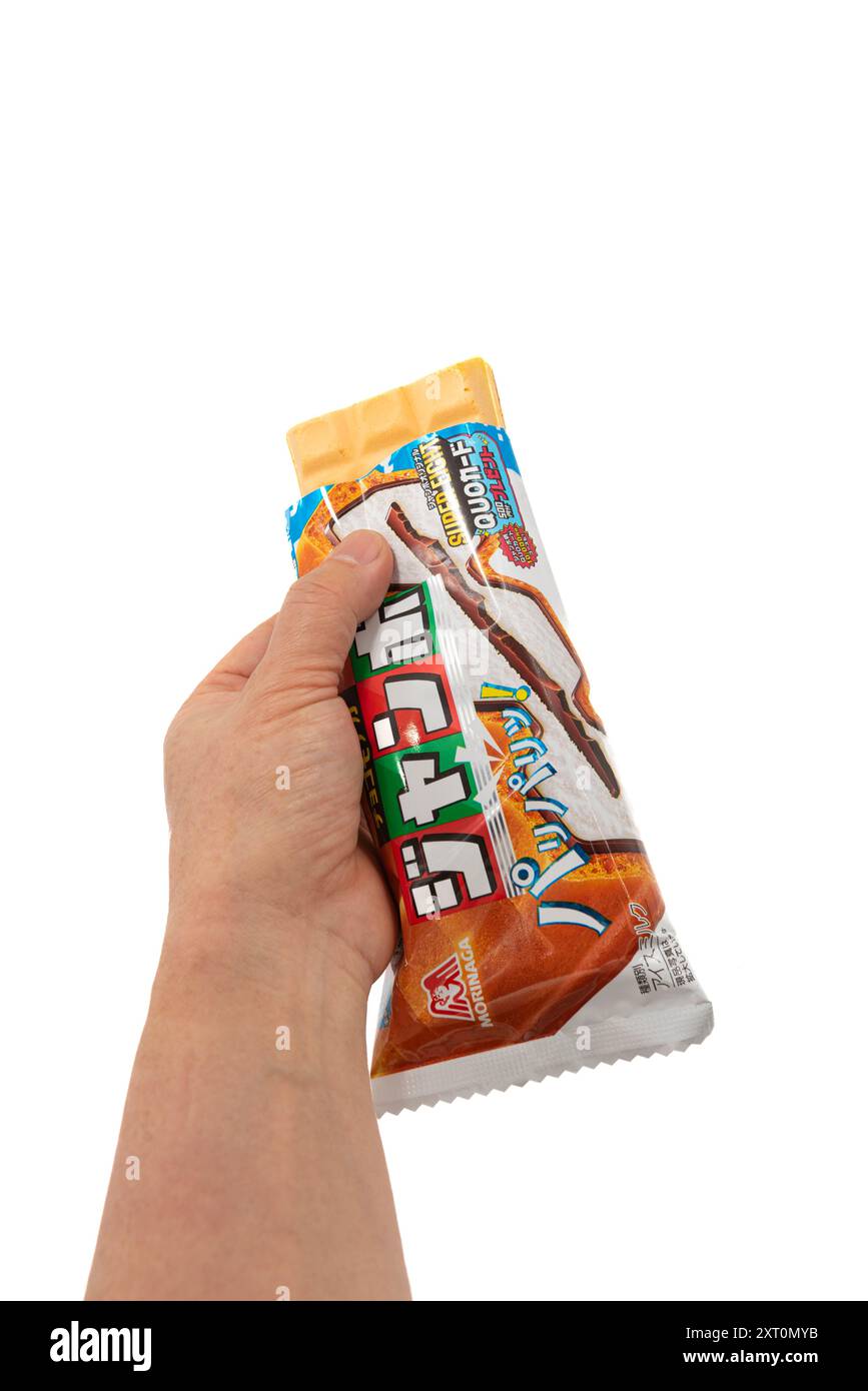 【モコ吉】 MIDORI KOMATSU Plays with DETAIL INC | 27 トゥエンティセブン