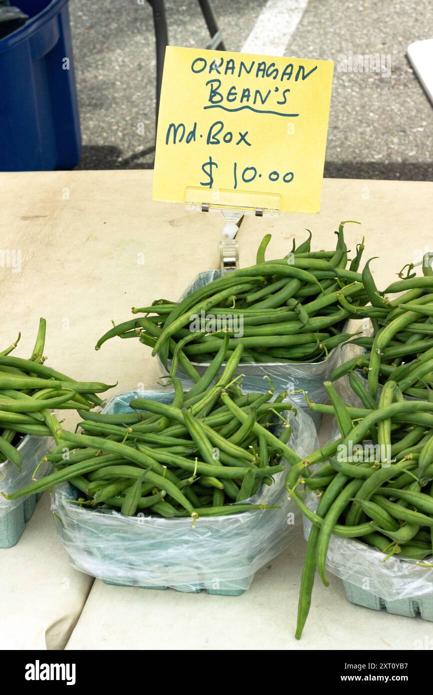 Close up and textures of Freshly harvested organic Okanagan Peas at Trout Lake Farmer's Market in British Columbia Stock Photo