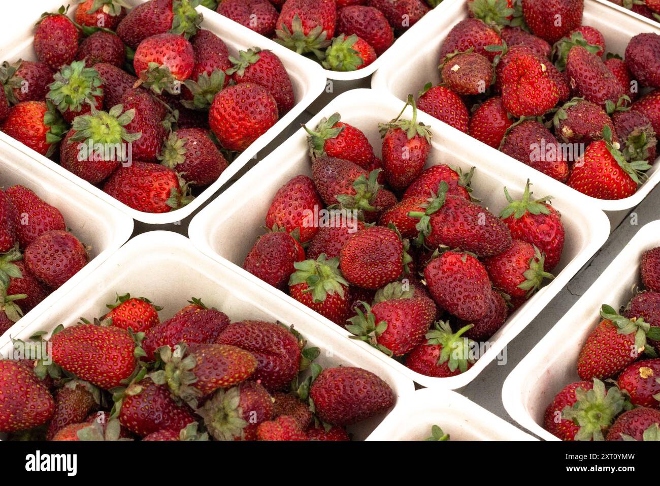 Strawberry in sustainable compostable and recyclable containers at Trout Lake Farmer's Market in British Columbia Stock Photo