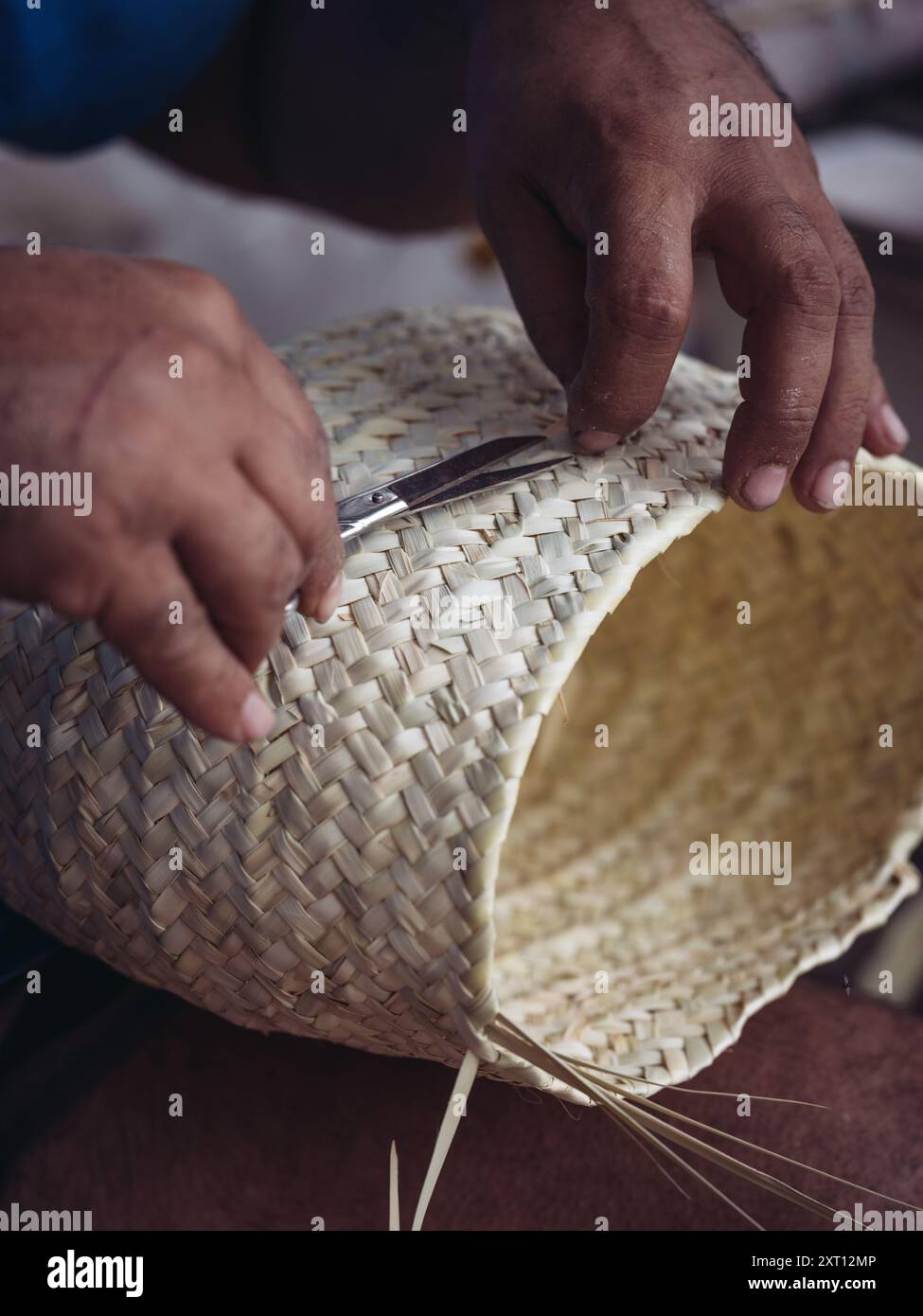 An artisan skilled hands work meticulously on a palmito basket ...