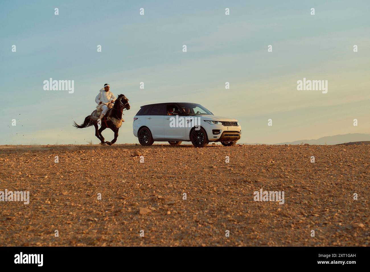 A rider on a dark horse gallops past a white SUV on a dusty terrain at dusk. bola02535 Copyright: xConnectxImagesx Stock Photo