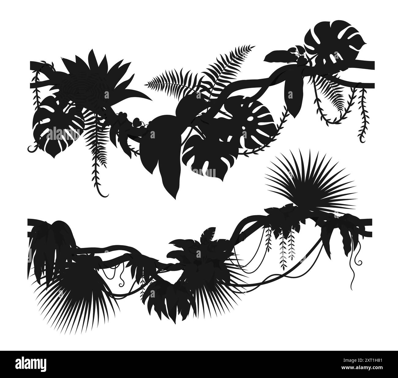 Tropical jungle forest liana vine branch silhouettes for frames and ...