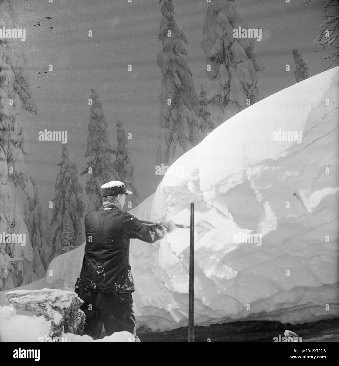 actual-05-1951-the-battle-for-the-timber-the-tremendous-amounts-of