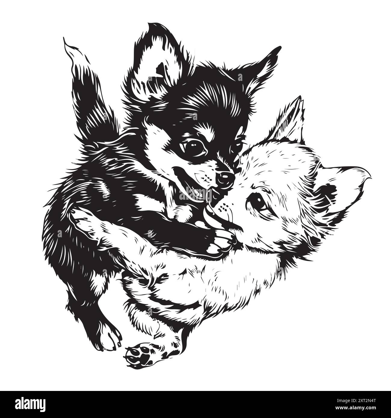 Chihuahua dogs playing hand drawn sketch Pets Vector illustration Stock