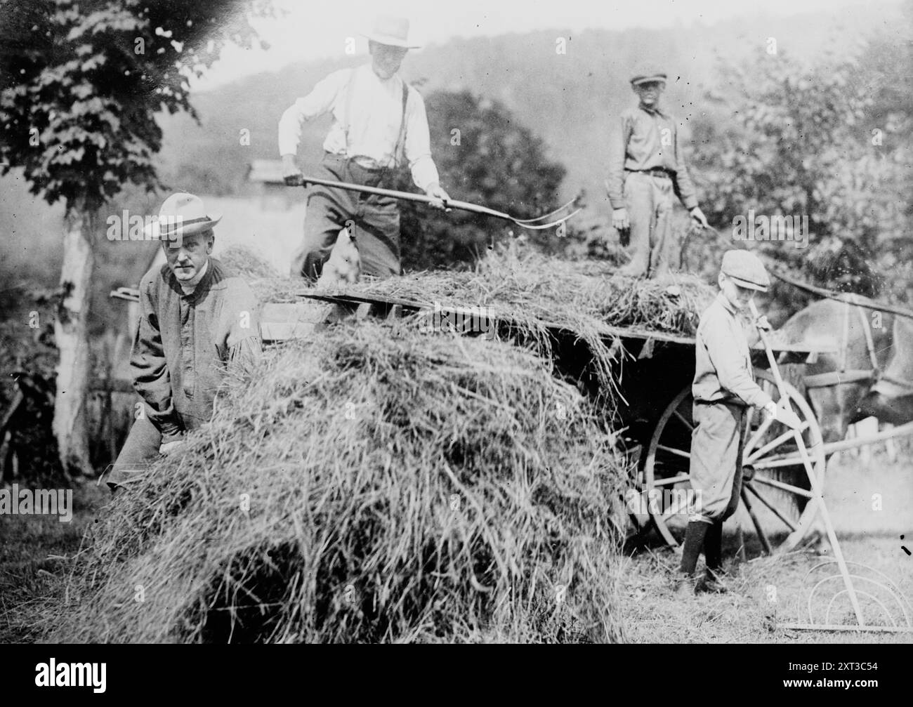 John calvin coolidge sr hires stock photography and images Alamy