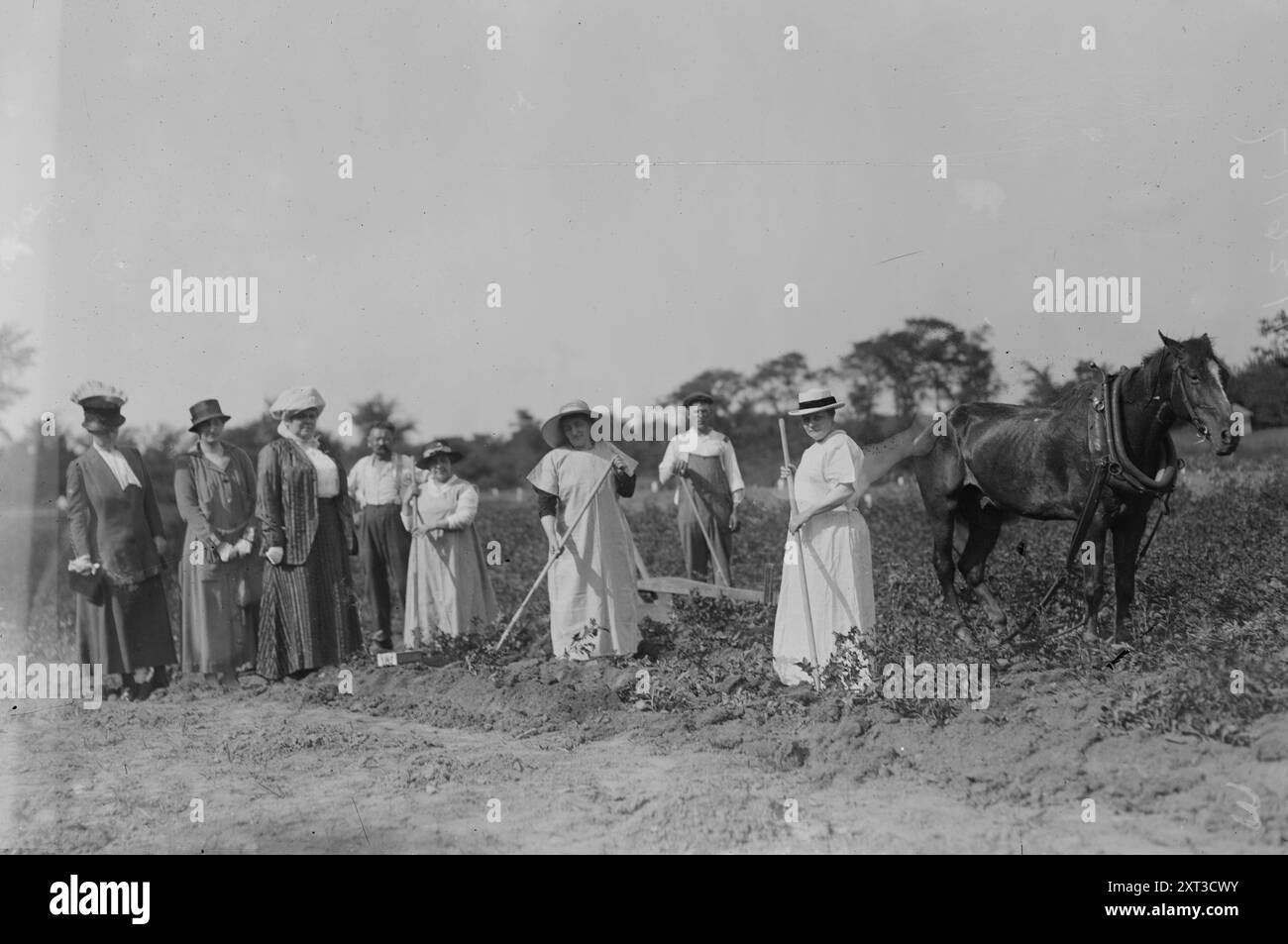 Mrs. T.B. Wells, Mrs. D.A. Palmer &amp; Mary G. Hay -- suffrage farm, 1917. Shows suffragists including: (left to right) Mrs. Thomas B. Wells, Mrs. Daniel Appleton Palmer (the former Amy Hernandez), head of the Bronx branch of the Woman Suffrage Party; and Mary Garrett Hay, chairman of the New York City Woman Suffrage Party. Stock Photo