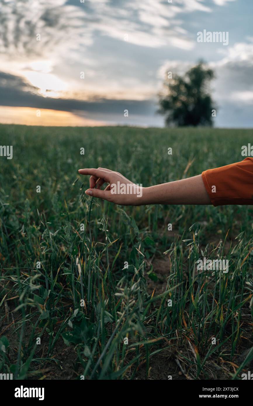 Conveying themes of connection hi-res stock photography and images - Alamy